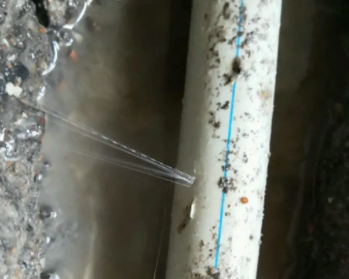 封开卫生间测漏水多少钱